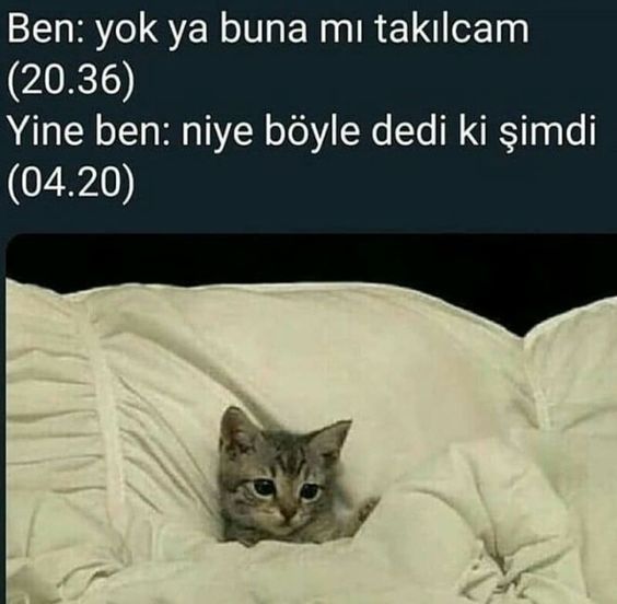 @sevgikutuphanesi